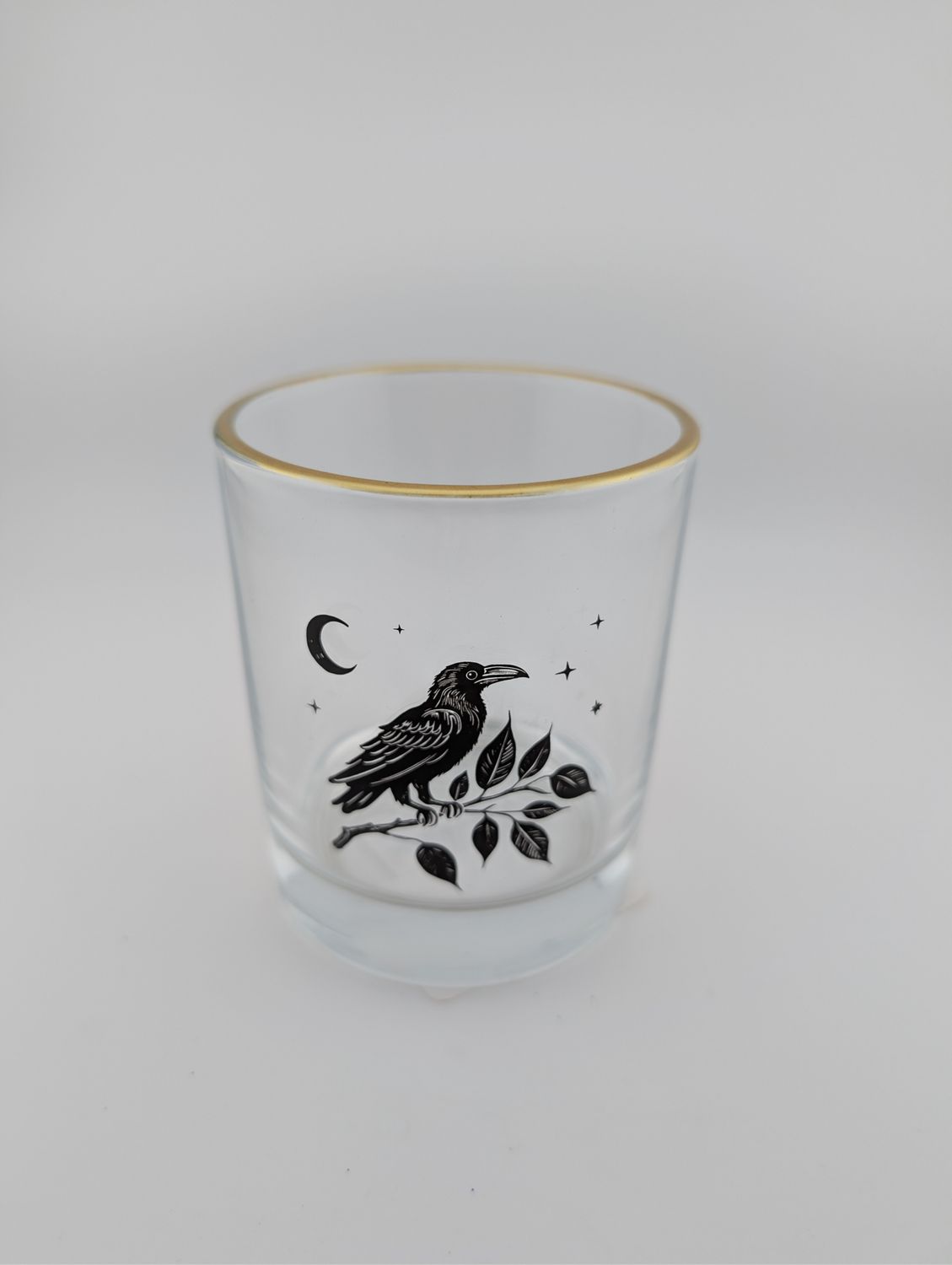 Perched Raven Gothic Drinking Glass