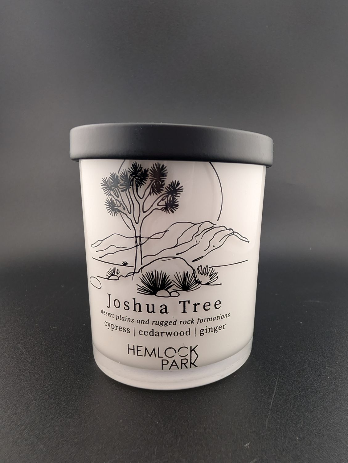 JOSHUA TREE PASSPORT CANDLE