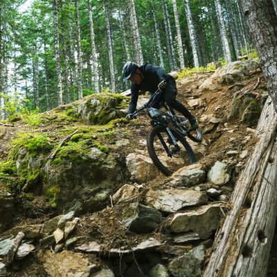 MTB