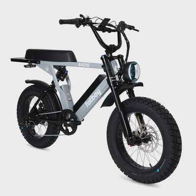FATBOY THE BAGUS V2