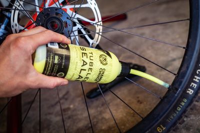 CHAMPIONS CHOICE SEALANT