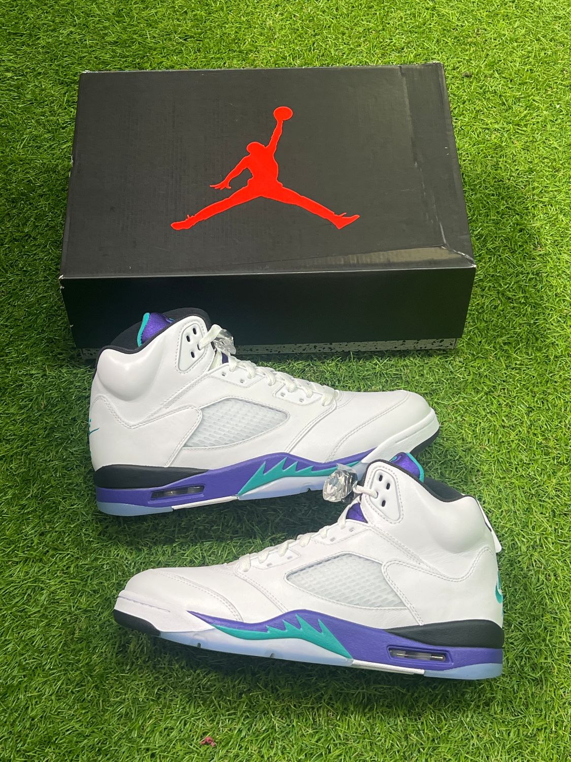 BRAND NEW AIR JORDAN 5 &quot;GRAPE&quot; SIZE 11