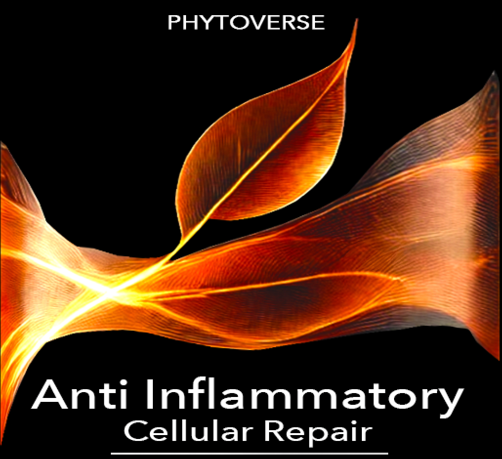 Anti-Inflammatory Cellular Repair Formula