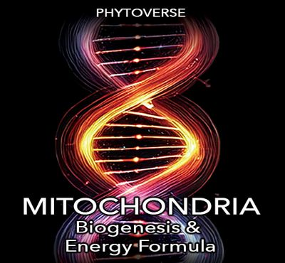 Mitochondrial Biogenesis and Energy Formula