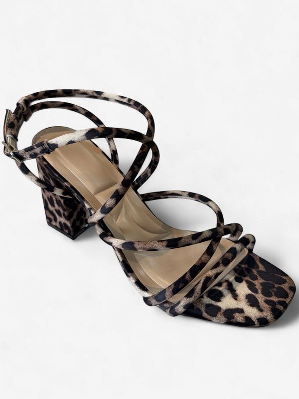 ELISSA