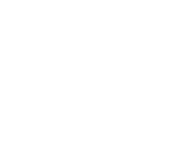 Foundation for A Bloody Great Cause Limited