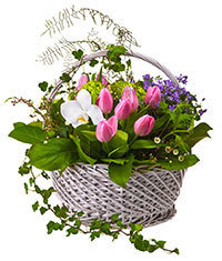 Sincerity Basket