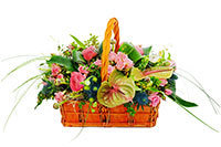 Peace Basket