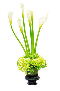 Sincere Vase