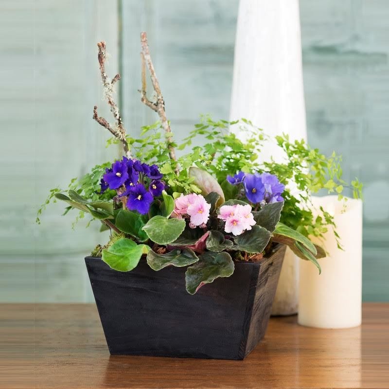 Harmony Planter