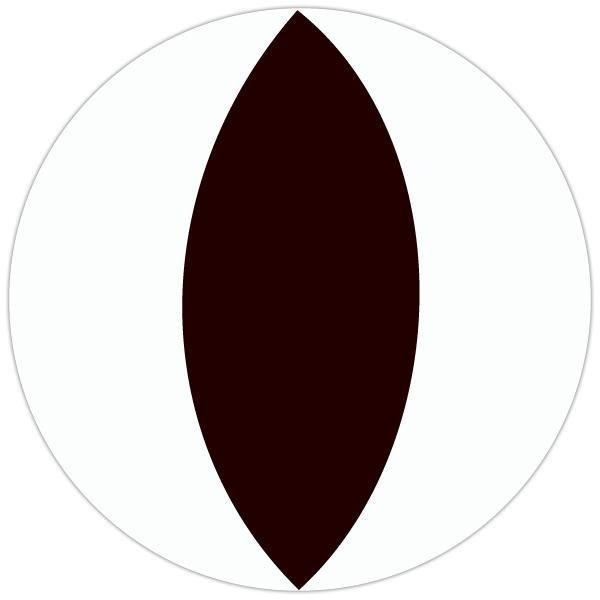White Slit Eye - From 14.99