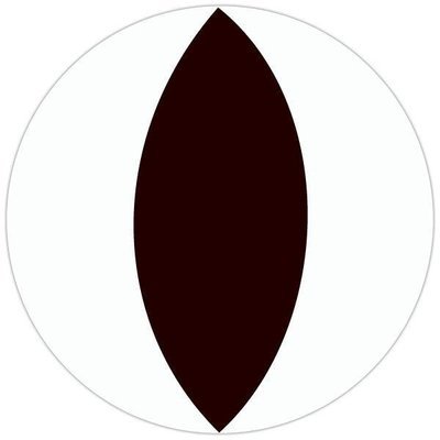 White Slit Eye - From 14.99