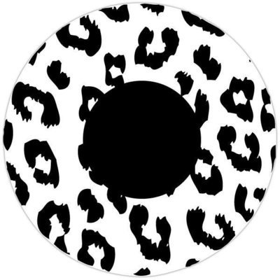 Snow Leopard - From 14.99