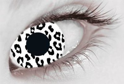 Snow Leopard - From 14.99