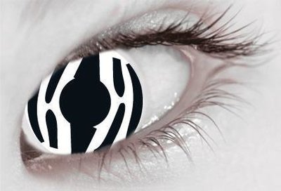 Zebra - From 14.99