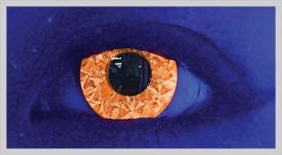 UV Orange Ripple - From £19.99