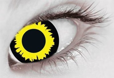 Wolf Eye - From 14.99