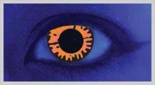 UV Twilight - From £19.99