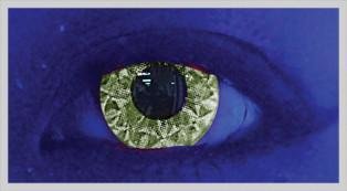 UV Intricate Olive - From £19.99
