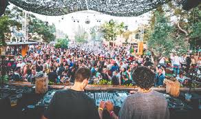 Image result for zoo project ibiza