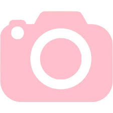 Image result for photo icon pink