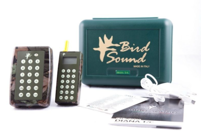 Diana T/C - BIRD SOUND