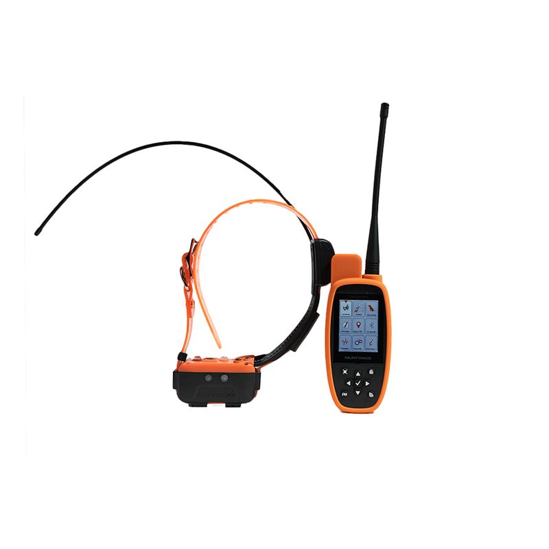 CANICOM GPS 2 - CANICOM