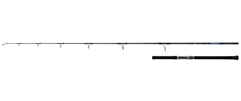 Canna SALTIGA Casting - DAIWA
