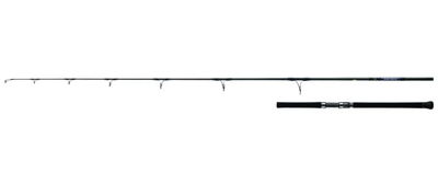 Canna SALTIGA Casting - DAIWA