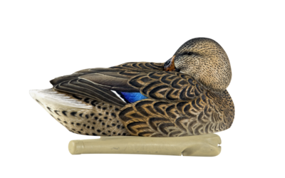 Kit Stampi Germano - AVIANX