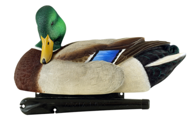 Kit Stampi Germano - AVIANX