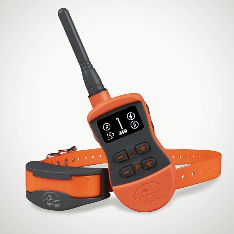 Trainer 1275 - SPORTDOG