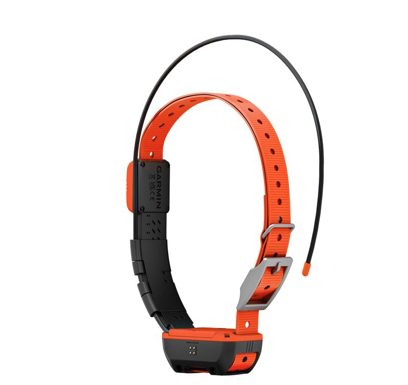 Collare per cani ALPHA® TT 20 K - GARMIN