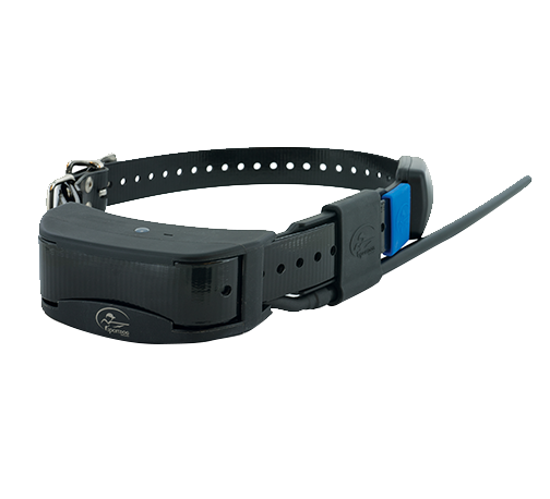 Collare aggiuntivo SPORTDOG TEK2.0/1.5 GPS - CANICOM