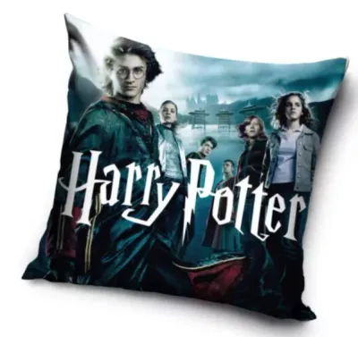 Harry Potter 2 Kissenbezug