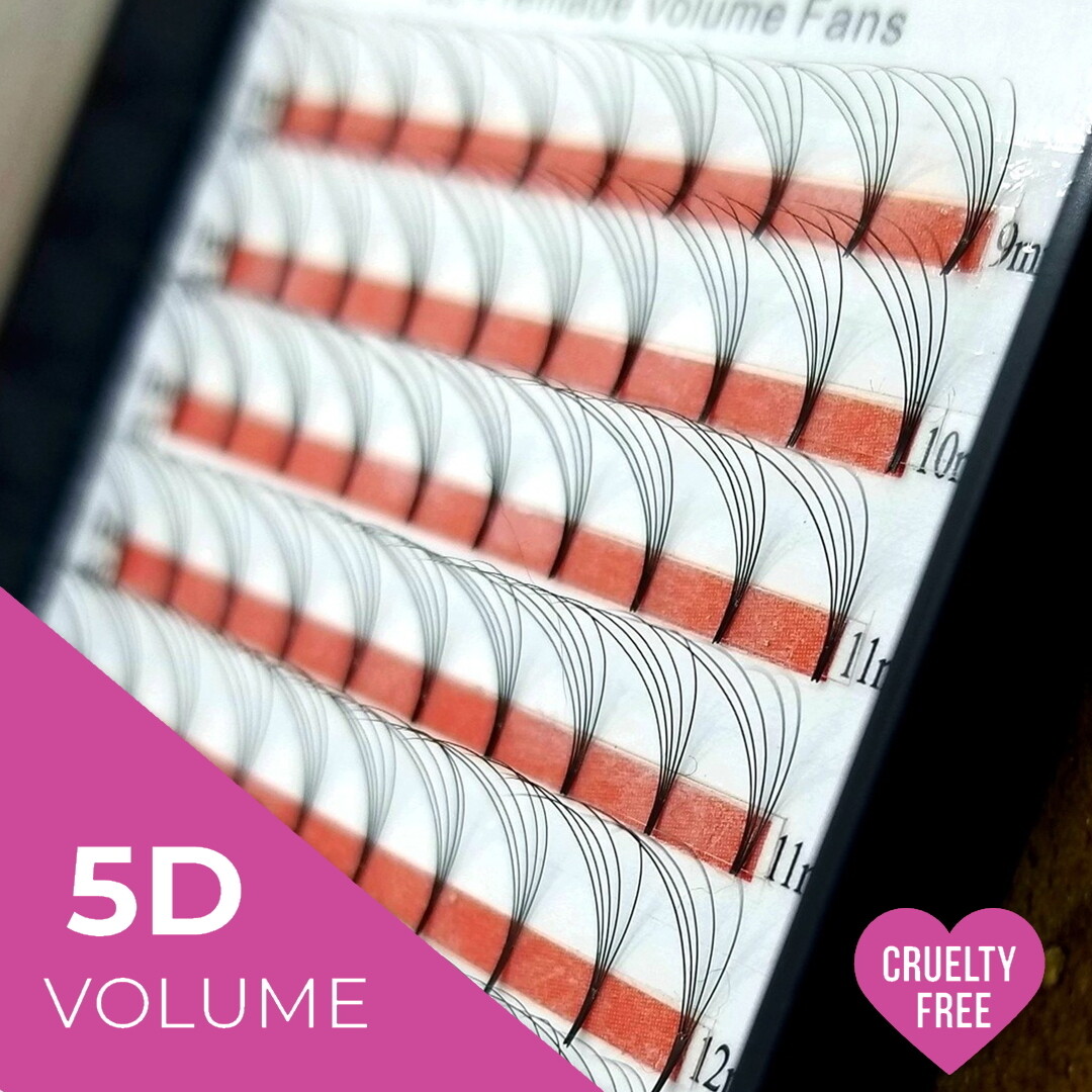 5D 5D