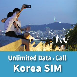 KT Korea SIM