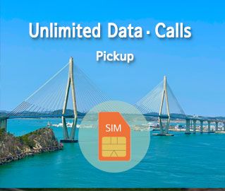 韓国SIMカード KT MVNO (LTE,585)