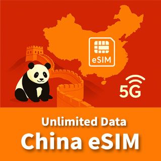 中国eSIM データ専用