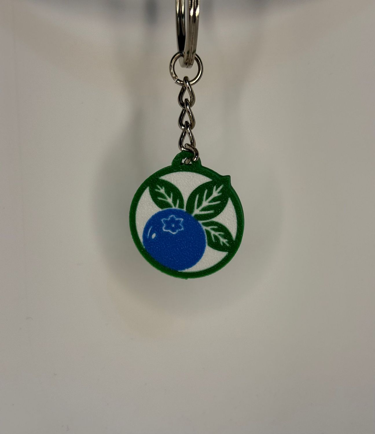 BlueBerry Tag