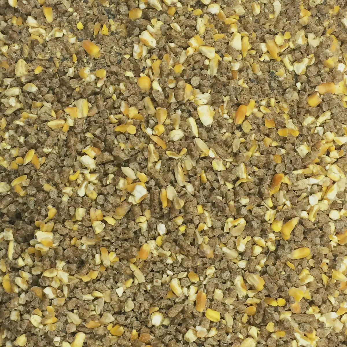 Country Style - Layer Feed