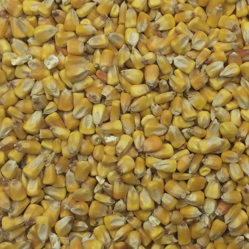 Rustic - Corn with Apples