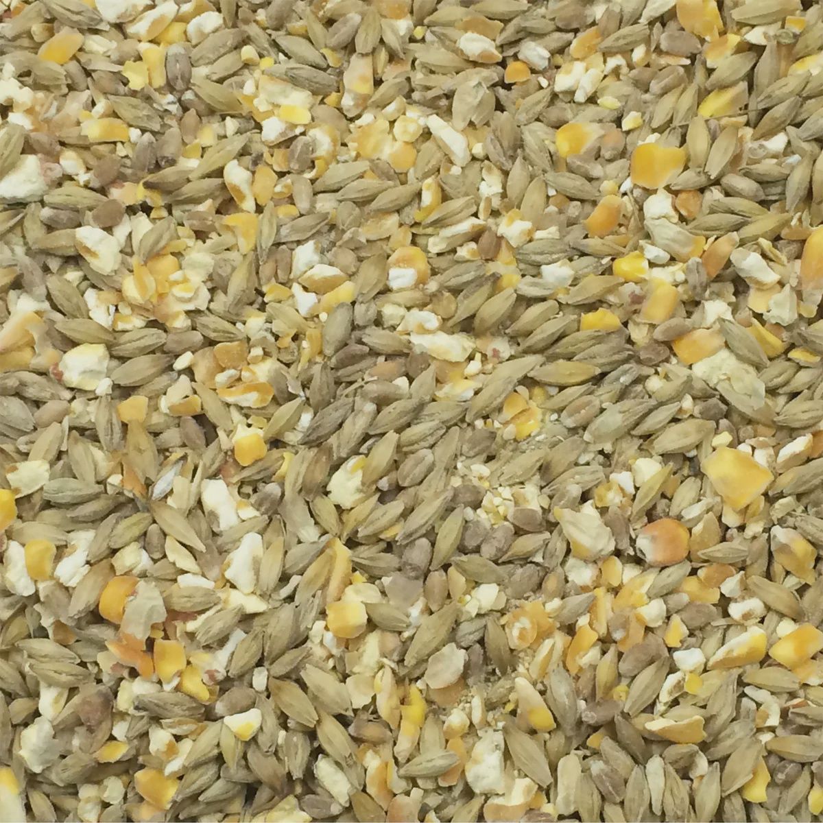 Rustic - Mixed Grains