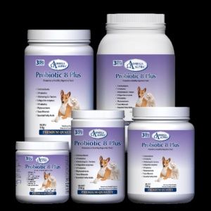 Omega Alpha - Probiotic 8 Plus