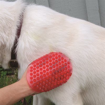 Shedrow- Jelly scrubber rouge