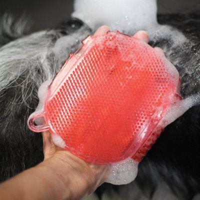 Shedrow- Jelly scrubber rouge