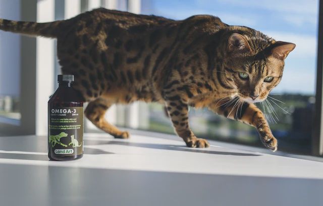 Land Art- Omega 3 liquide 250ml