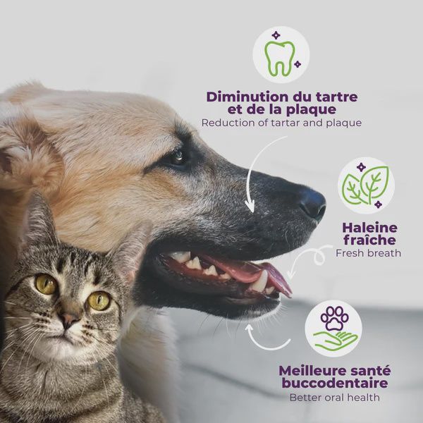 Baci+ -Buco+ for Cats and Dogs under 33lbs, Complete Treatment
