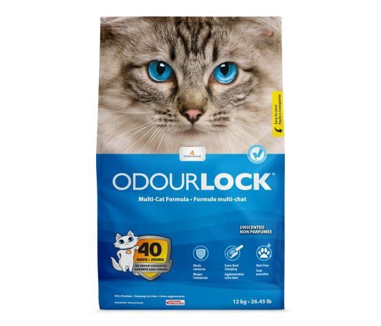 Intersand - Odourlock Clumping Litter 12 Kg