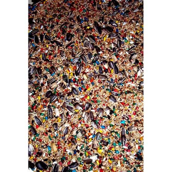 Zoomax Vitomax- Oiseaux Cockatiel et inséparable 2lbs